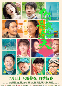 电视剧铁血使命在线观看